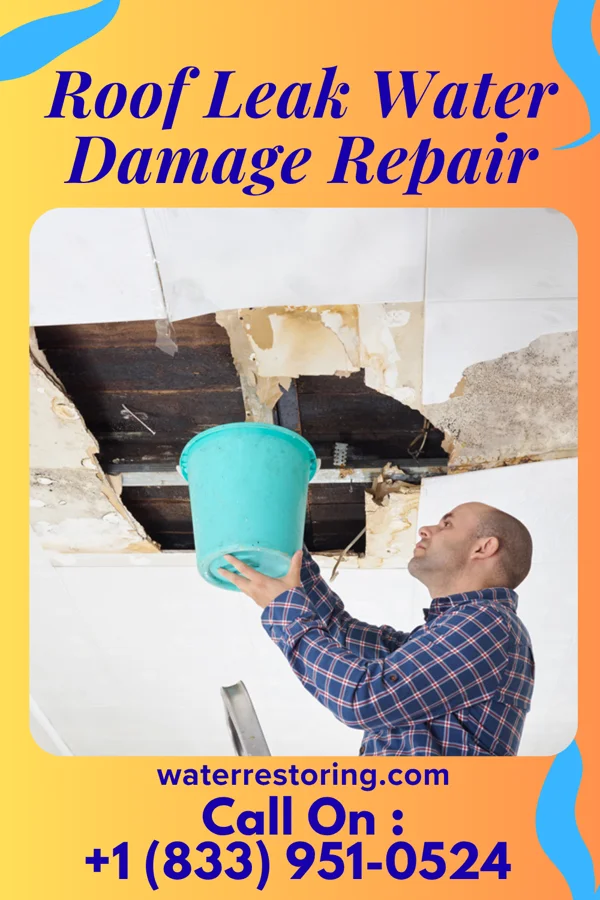 Roof Leak Water Damage Repair in Hazleton, IA