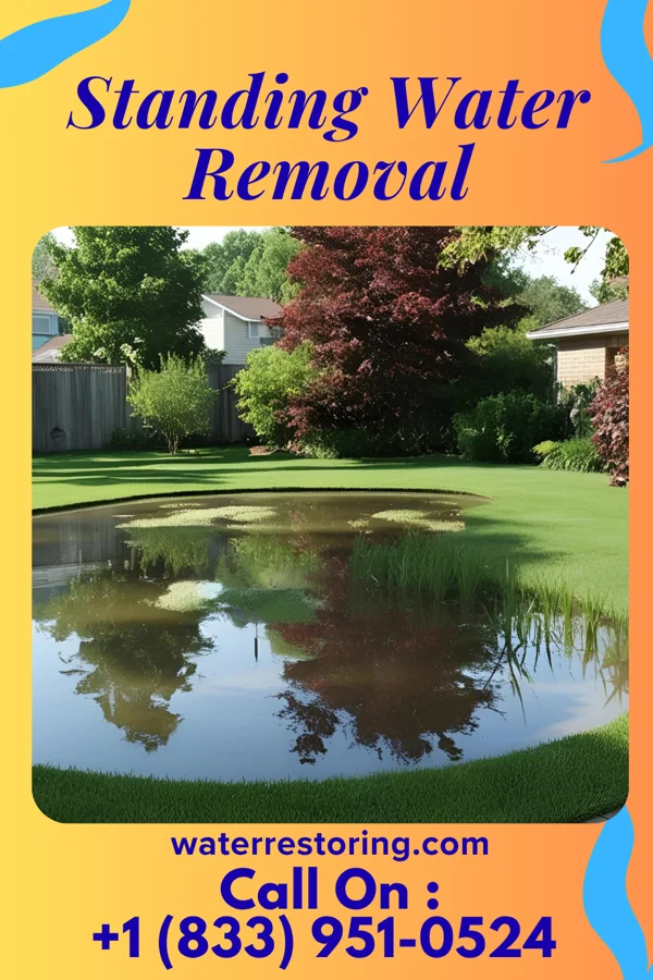 Standing Water Removal in Hazleton, IA